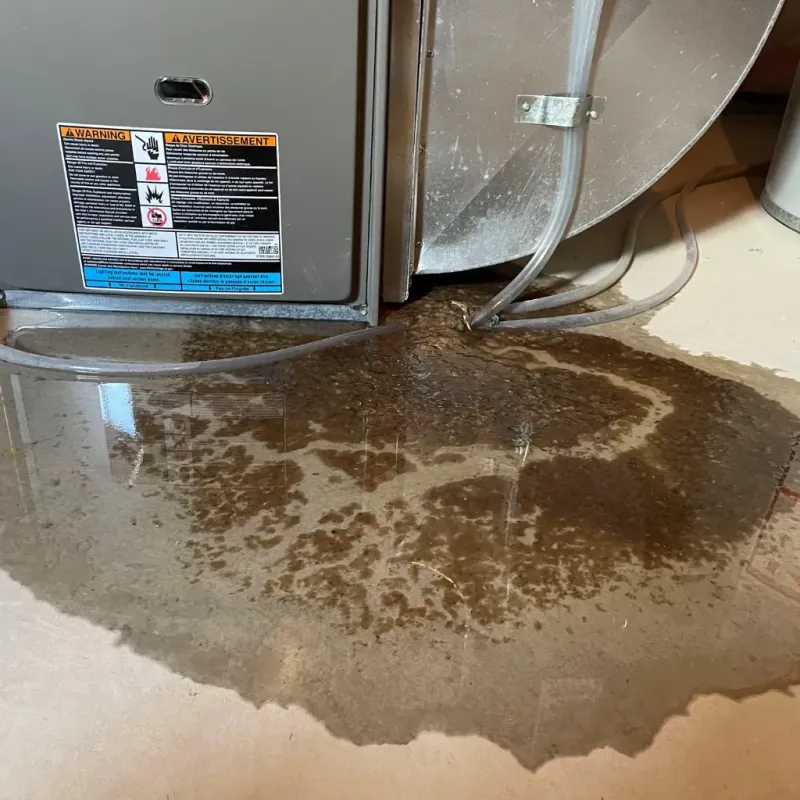 Appliance Leak Cleanup in Kilauea, HI