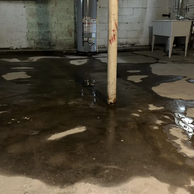 Emergency Water Extraction And Removal in Kilauea, HI